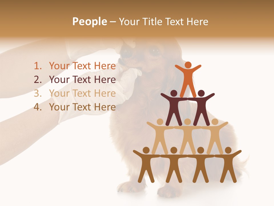 A Dog Getting His Nose Examined By A Veterinator PowerPoint Template