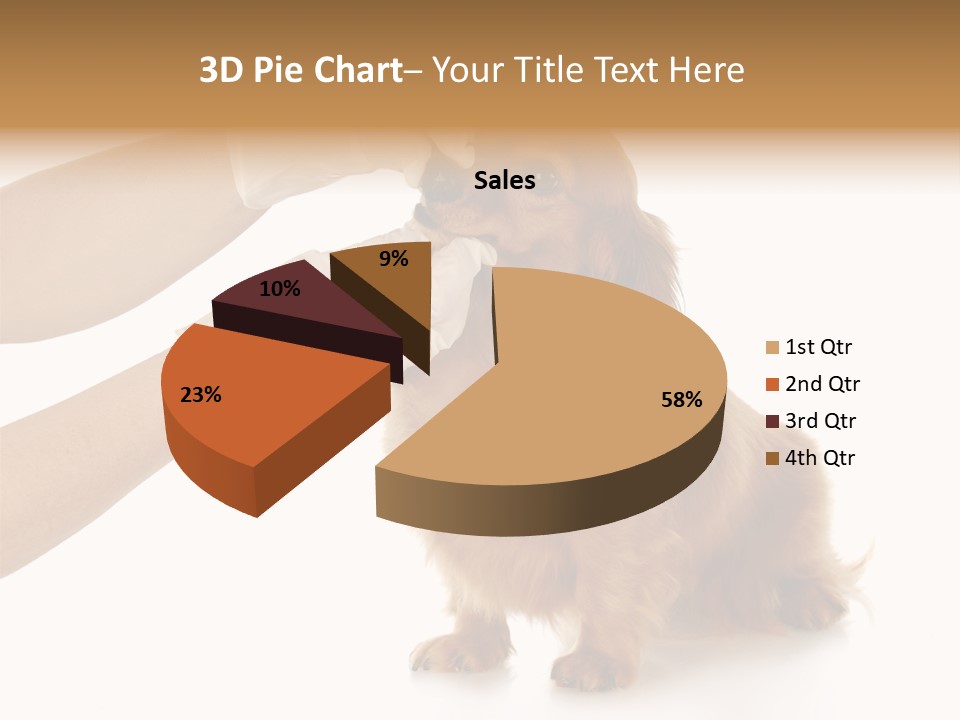 A Dog Getting His Nose Examined By A Veterinator PowerPoint Template