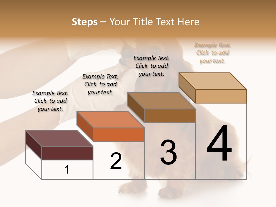 A Dog Getting His Nose Examined By A Veterinator PowerPoint Template