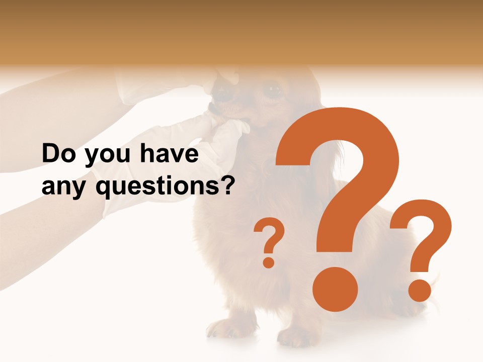 A Dog Getting His Nose Examined By A Veterinator PowerPoint Template