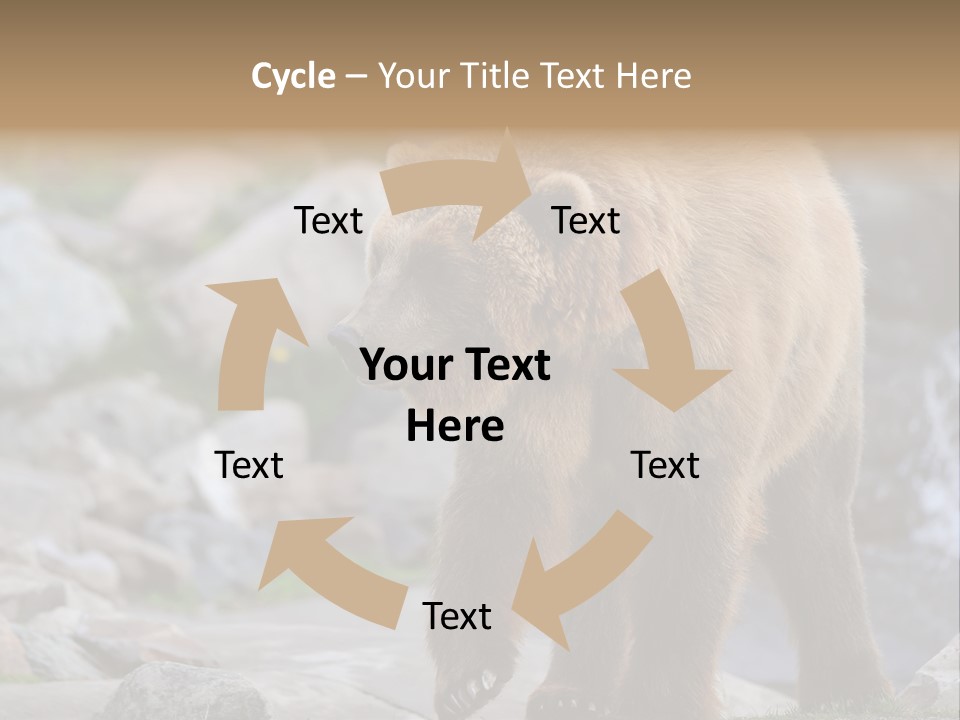 Hungry Field Grizzly PowerPoint Template