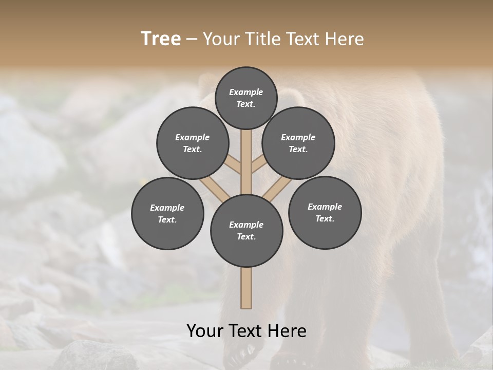 Hungry Field Grizzly PowerPoint Template