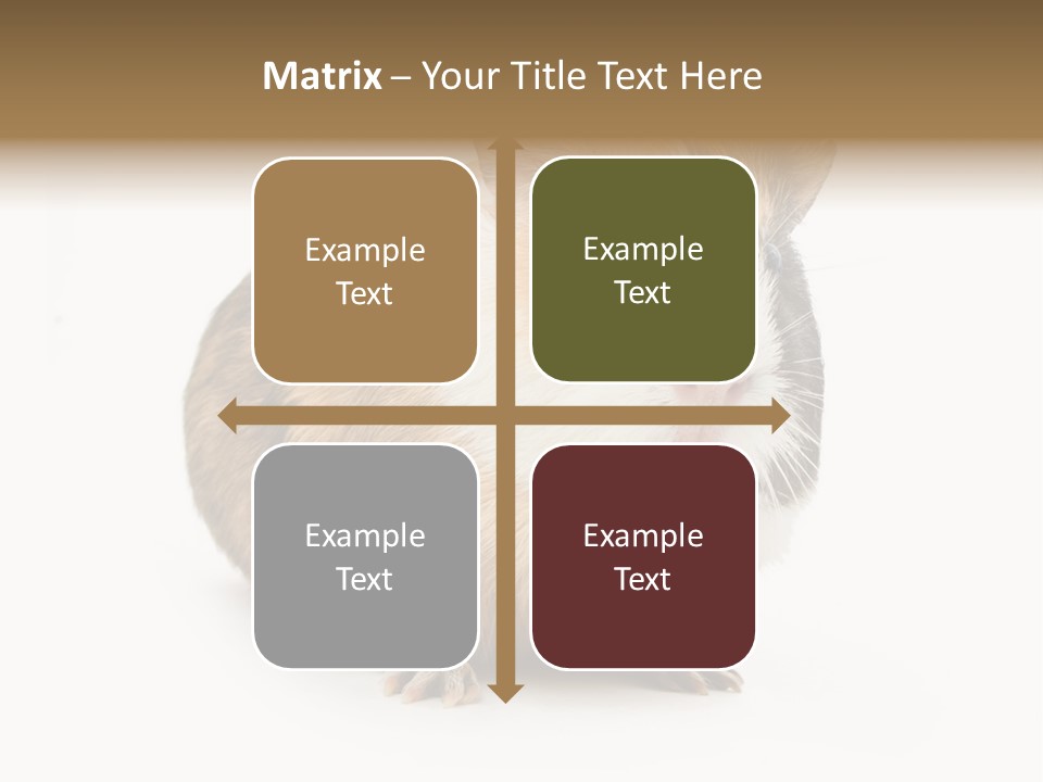 Hairy Macro Pig PowerPoint Template