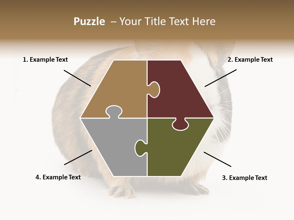 Hairy Macro Pig PowerPoint Template