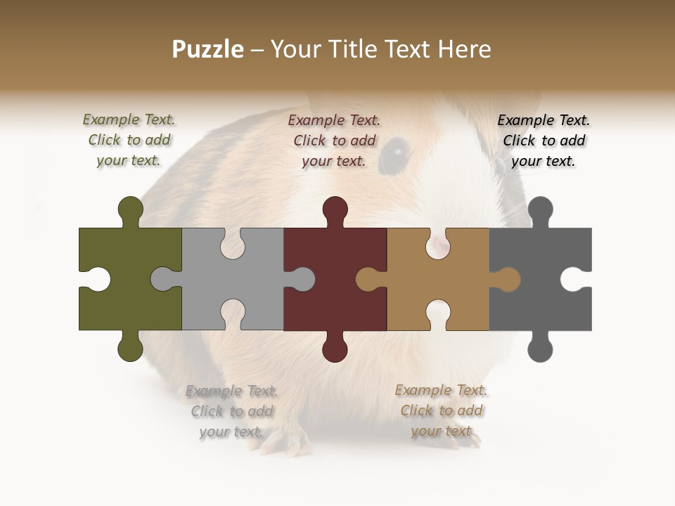 Hairy Macro Pig PowerPoint Template