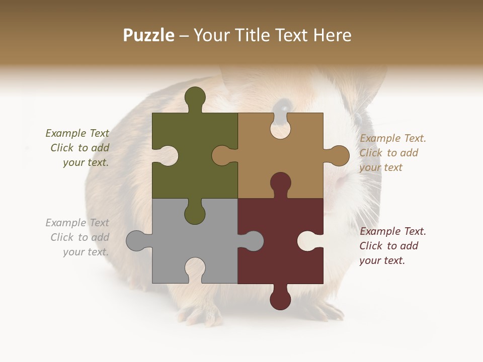 Hairy Macro Pig PowerPoint Template