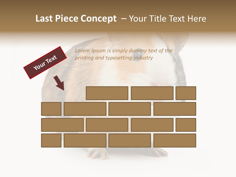 Hairy Macro Pig PowerPoint Template
