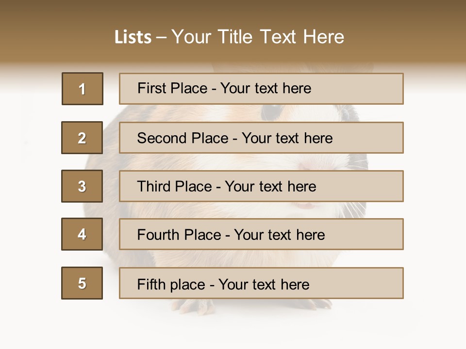 Hairy Macro Pig PowerPoint Template