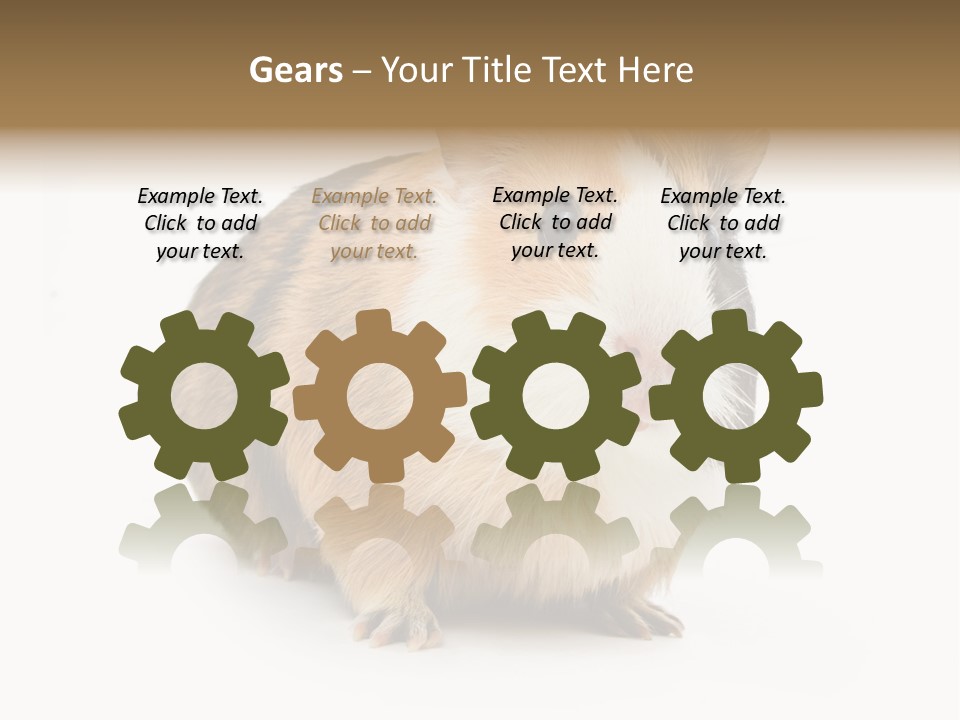 Hairy Macro Pig PowerPoint Template