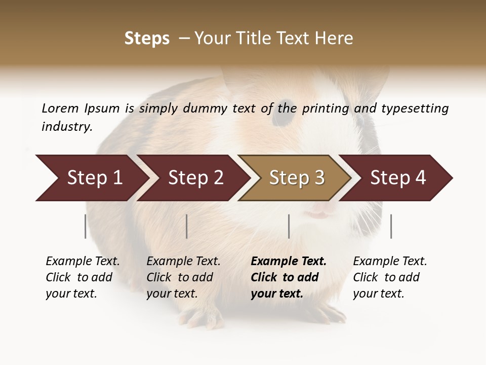 Hairy Macro Pig PowerPoint Template