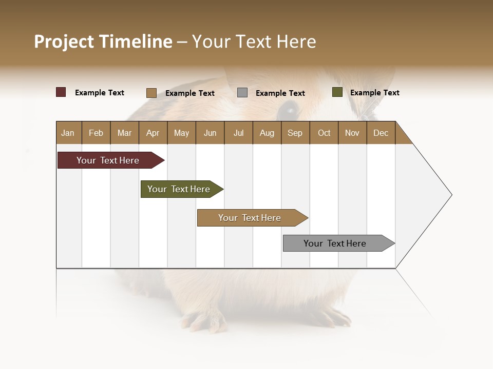 Hairy Macro Pig PowerPoint Template