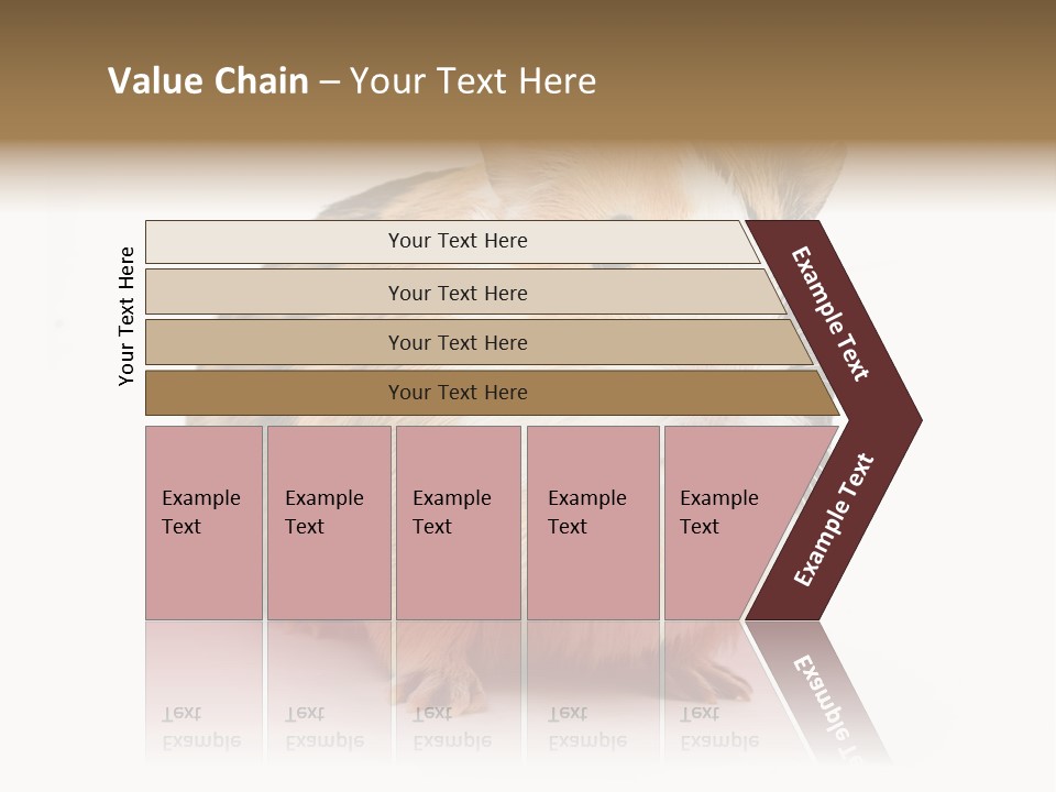 Hairy Macro Pig PowerPoint Template