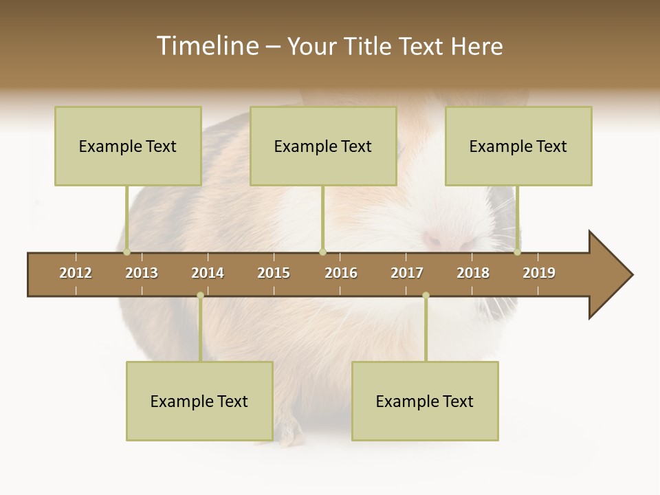 Hairy Macro Pig PowerPoint Template