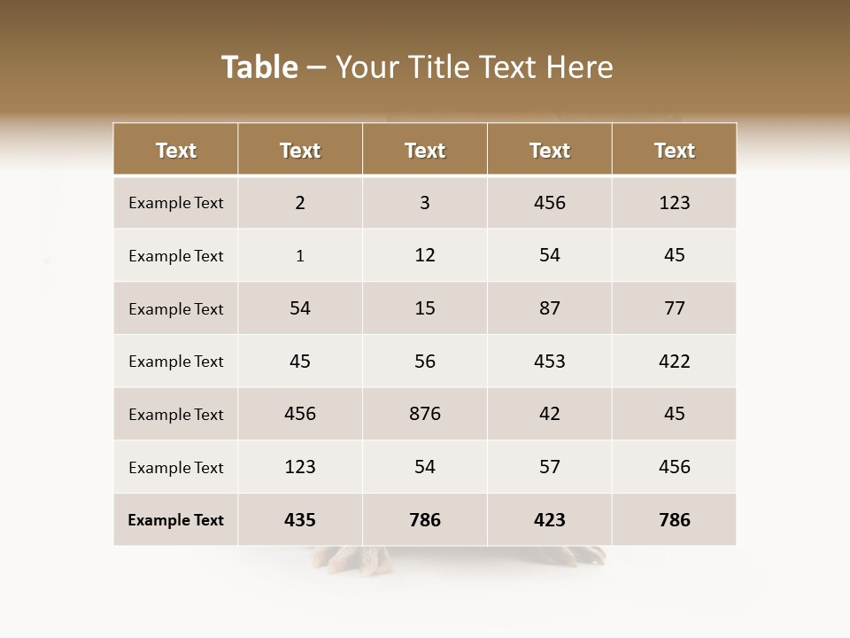 Hairy Macro Pig PowerPoint Template
