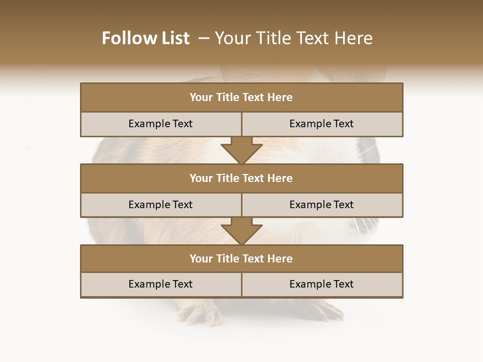 Hairy Macro Pig PowerPoint Template