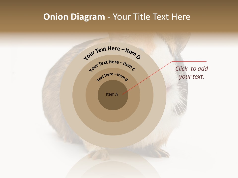 Hairy Macro Pig PowerPoint Template