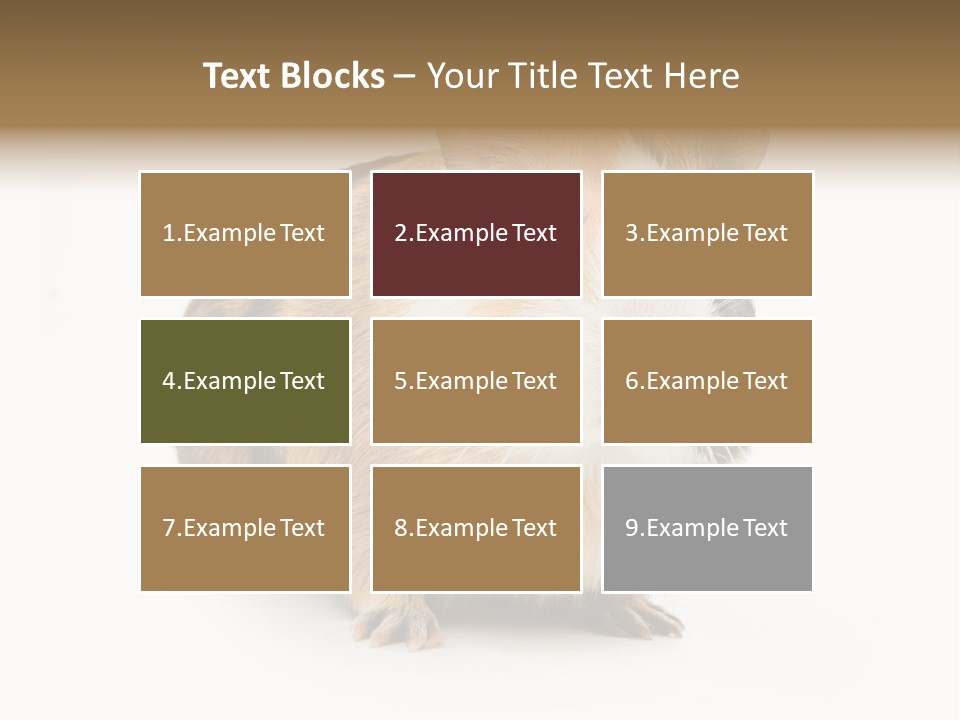 Hairy Macro Pig PowerPoint Template