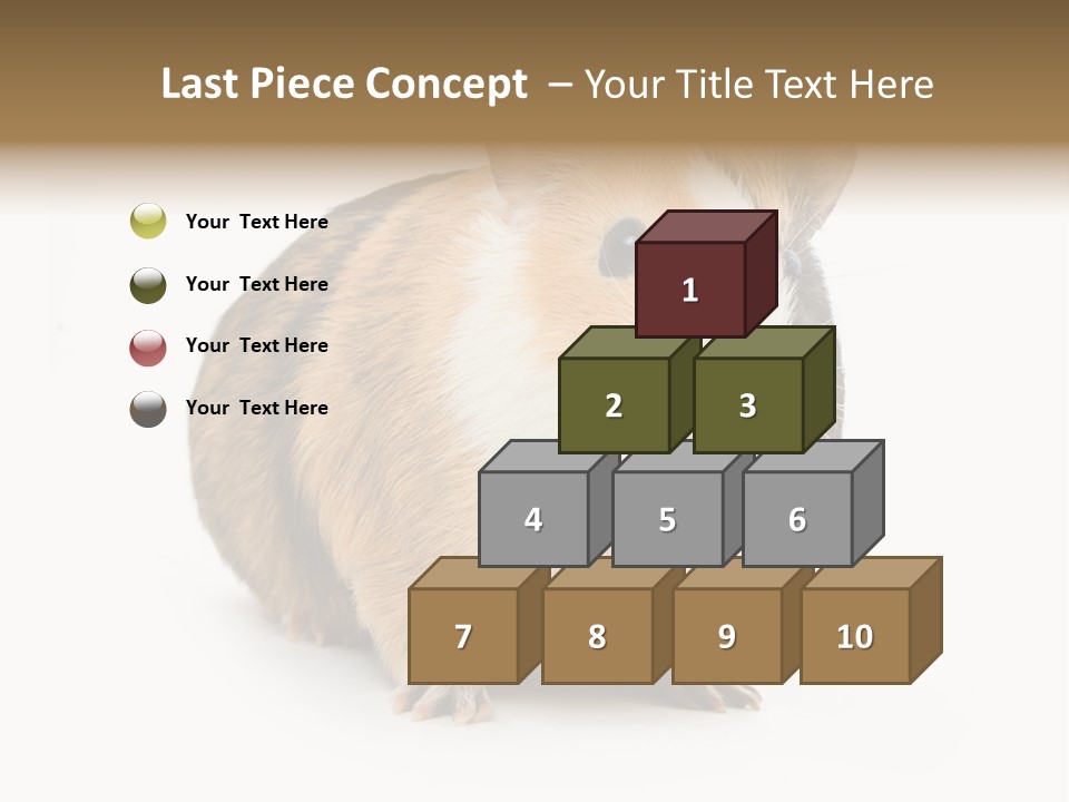 Hairy Macro Pig PowerPoint Template