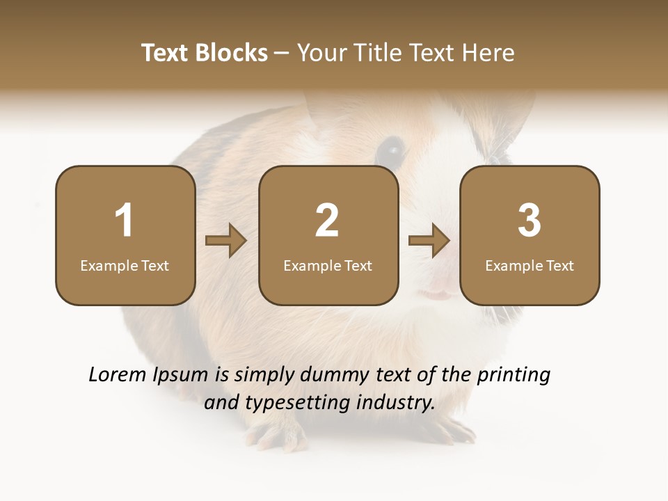 Hairy Macro Pig PowerPoint Template