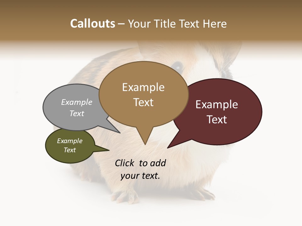Hairy Macro Pig PowerPoint Template