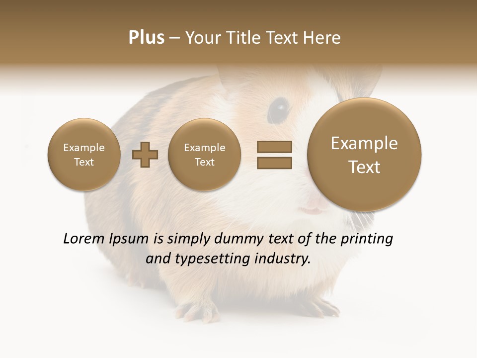 Hairy Macro Pig PowerPoint Template