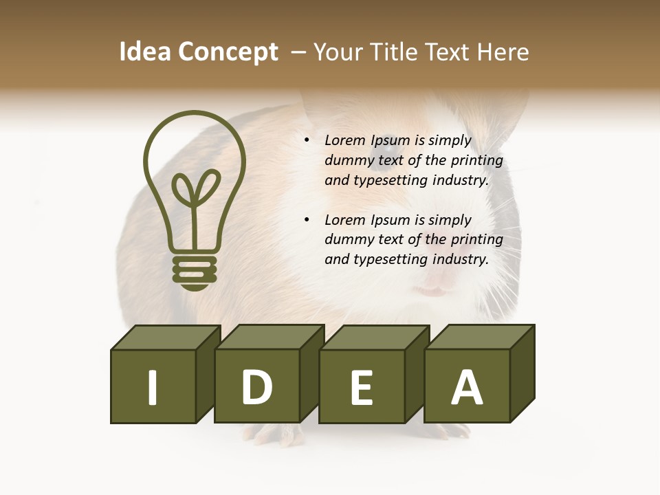 Hairy Macro Pig PowerPoint Template