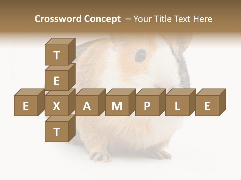 Hairy Macro Pig PowerPoint Template