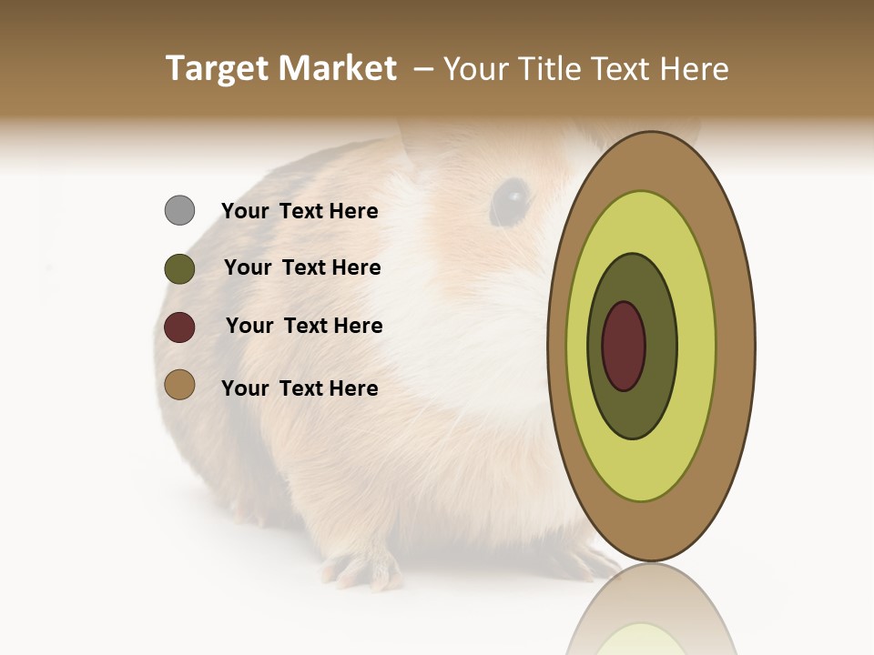 Hairy Macro Pig PowerPoint Template