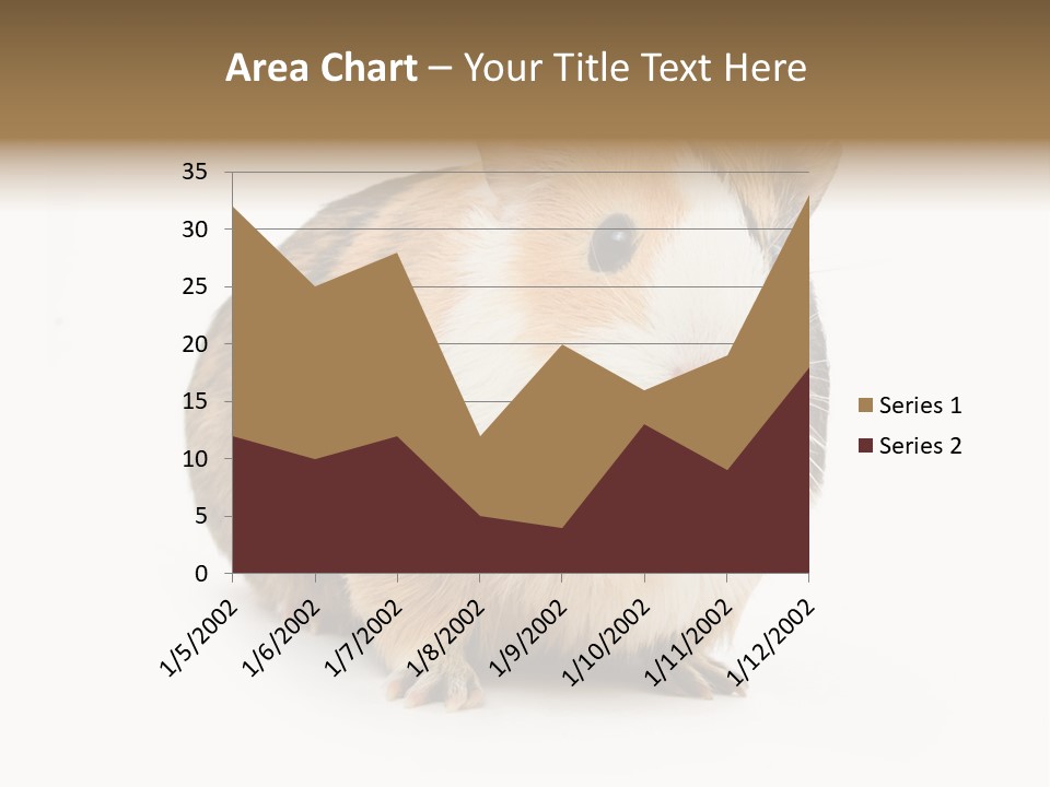 Hairy Macro Pig PowerPoint Template