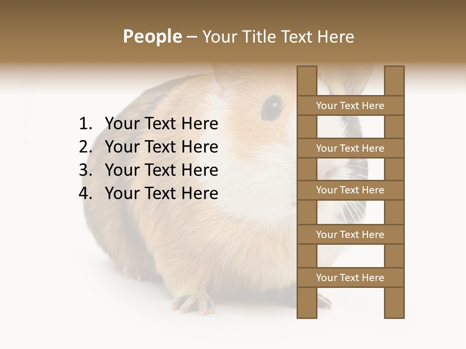 Hairy Macro Pig PowerPoint Template
