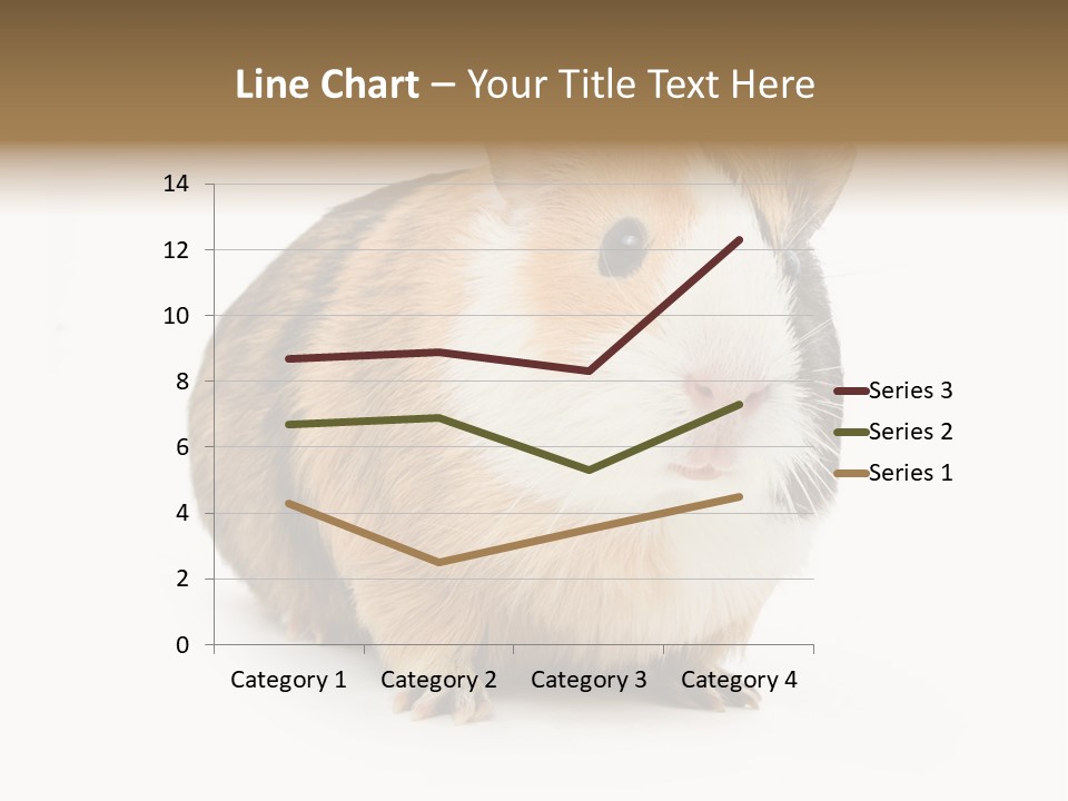 Hairy Macro Pig PowerPoint Template