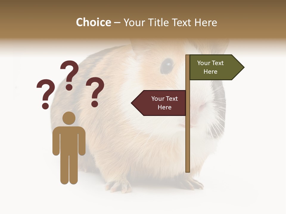 Hairy Macro Pig PowerPoint Template