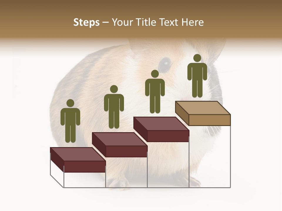 Hairy Macro Pig PowerPoint Template
