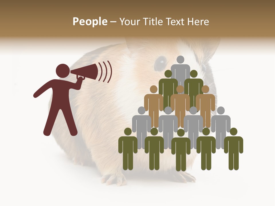 Hairy Macro Pig PowerPoint Template