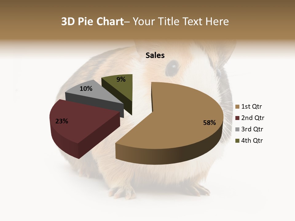 Hairy Macro Pig PowerPoint Template