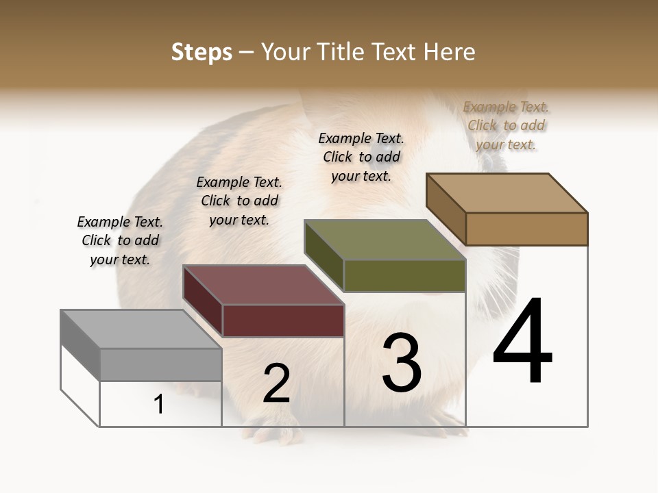 Hairy Macro Pig PowerPoint Template