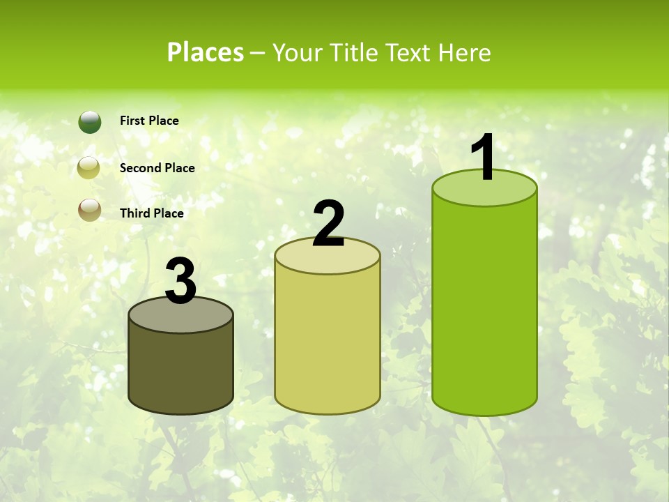 Season Growth Branch PowerPoint Template