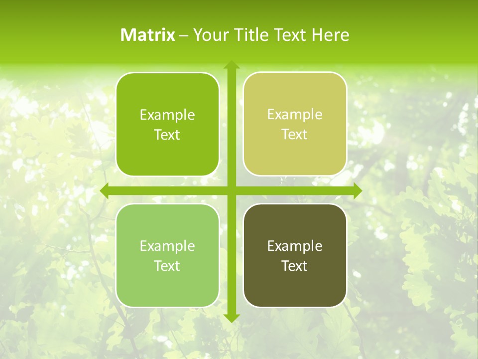 Season Growth Branch PowerPoint Template