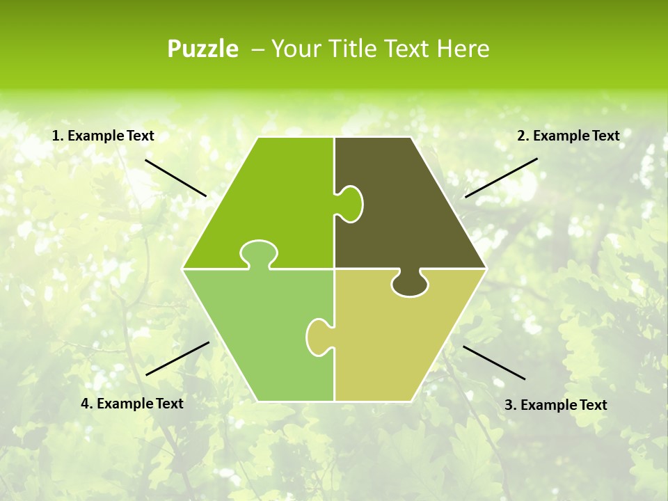 Season Growth Branch PowerPoint Template