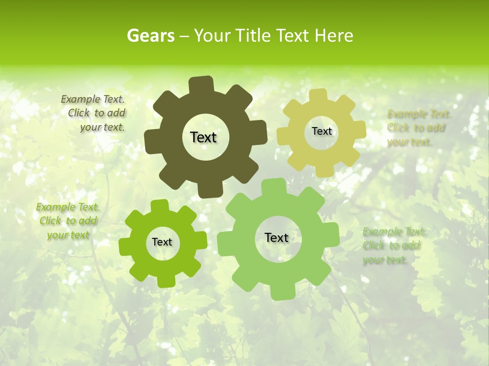 Season Growth Branch PowerPoint Template