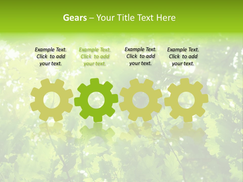 Season Growth Branch PowerPoint Template