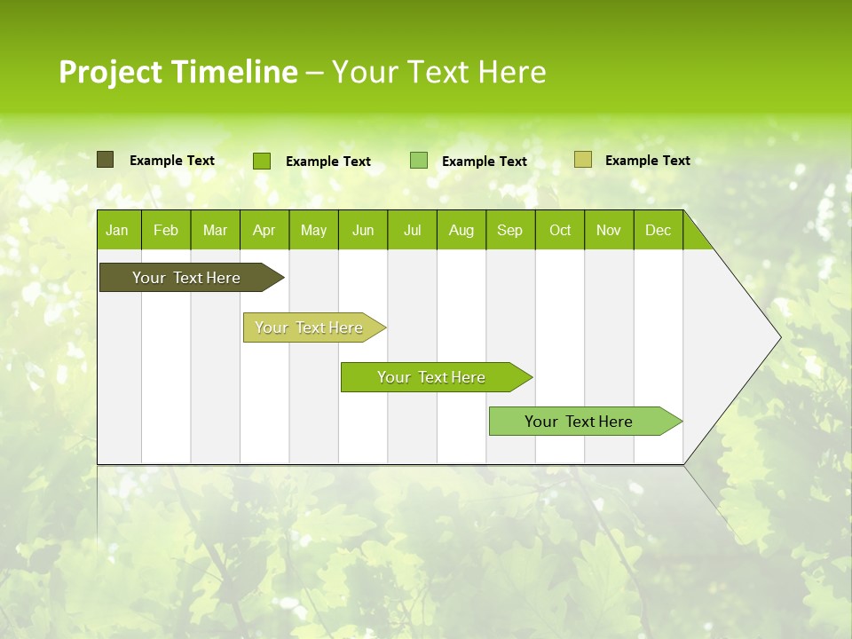 Season Growth Branch PowerPoint Template