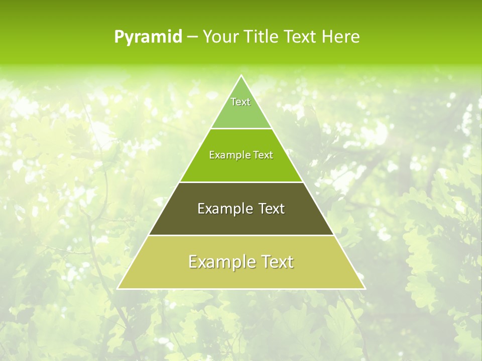 Season Growth Branch PowerPoint Template