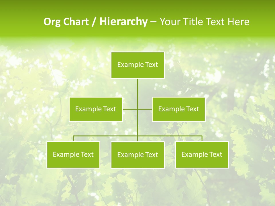 Season Growth Branch PowerPoint Template