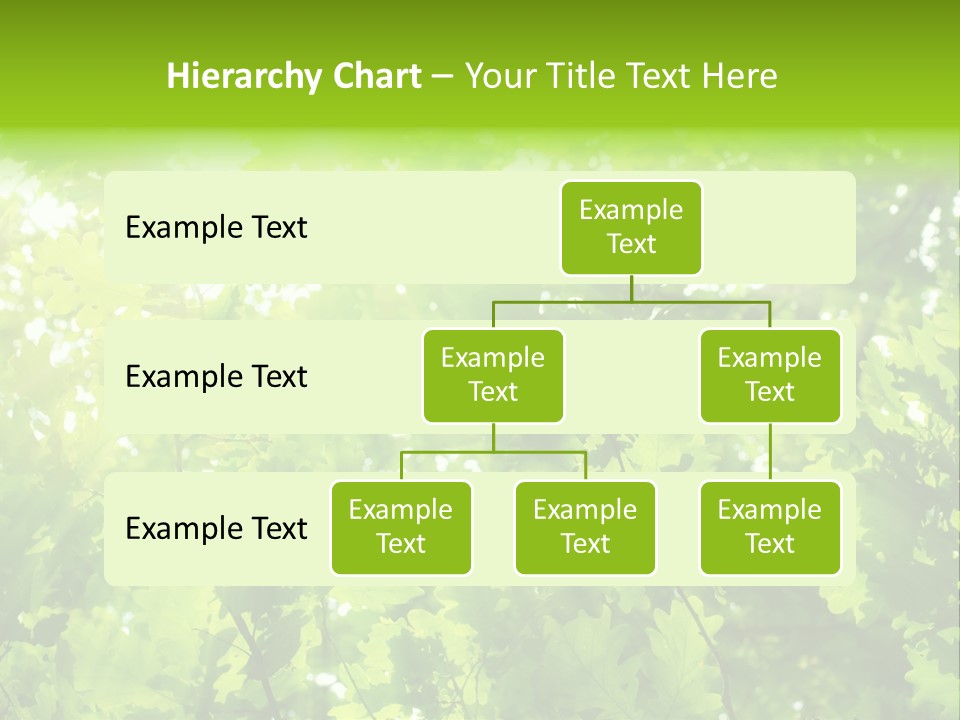Season Growth Branch PowerPoint Template