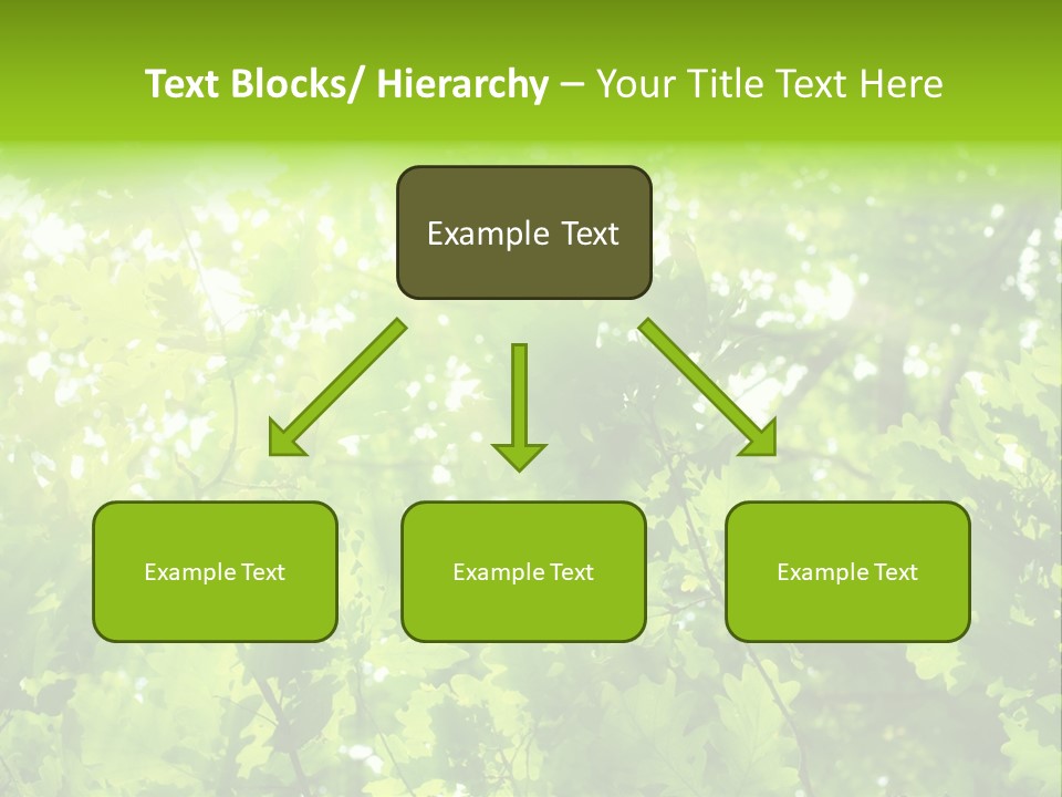 Season Growth Branch PowerPoint Template