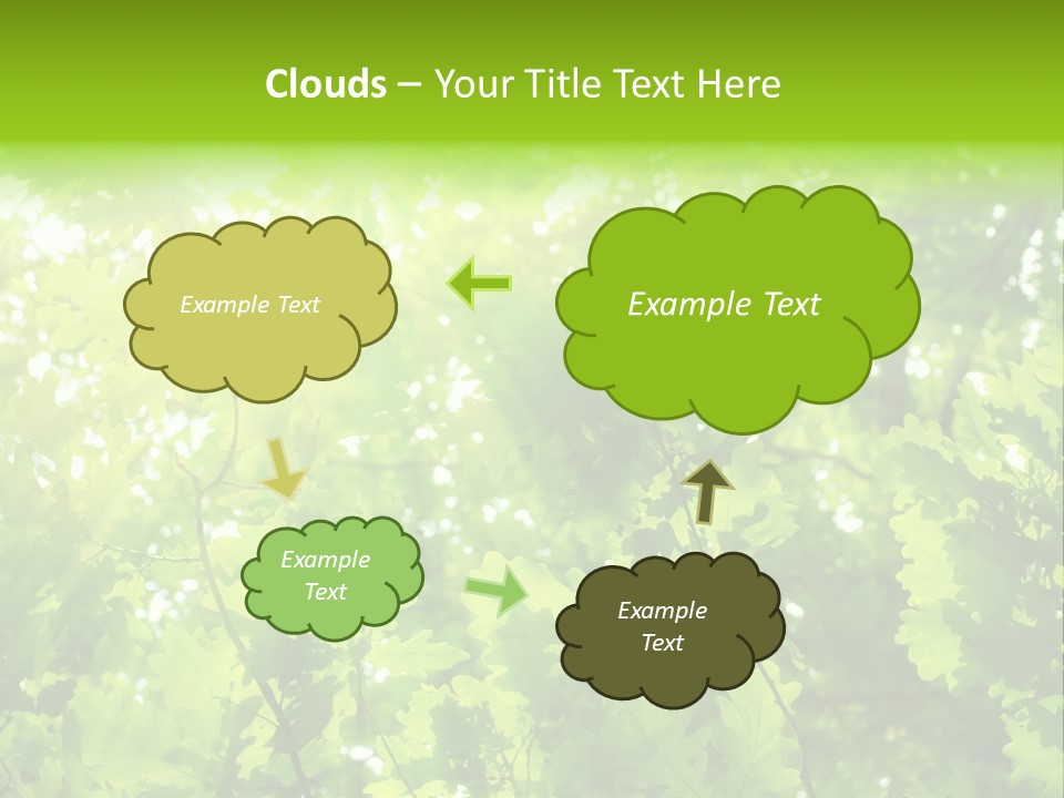 Season Growth Branch PowerPoint Template