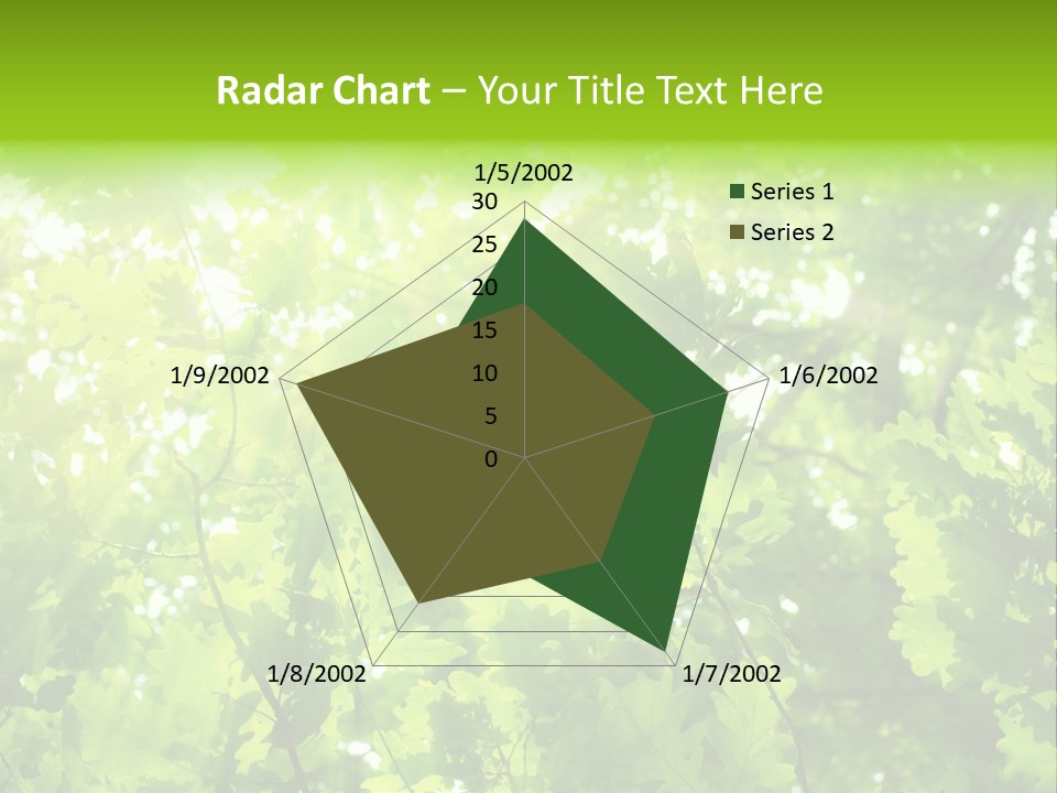 Season Growth Branch PowerPoint Template