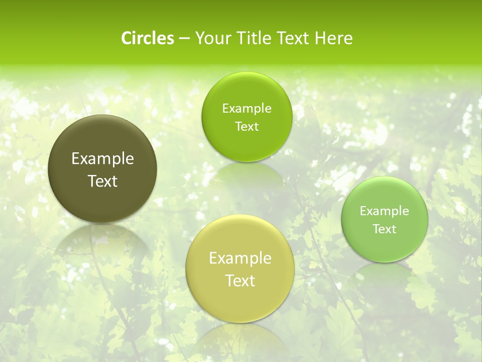 Season Growth Branch PowerPoint Template
