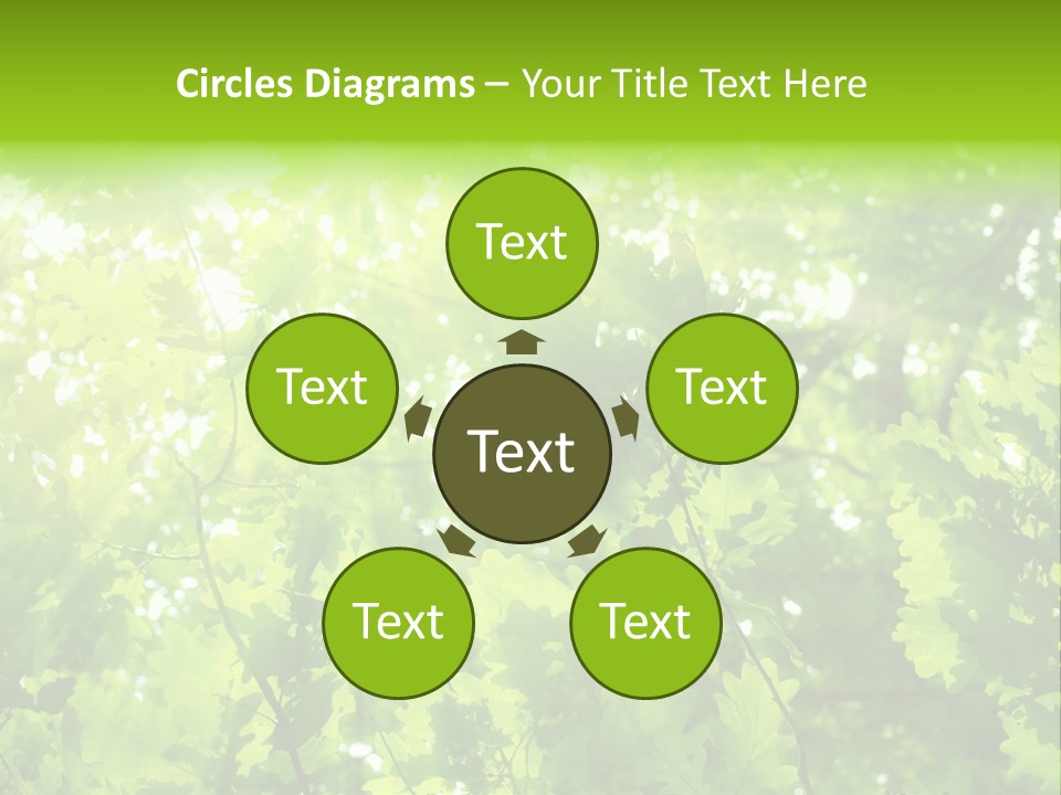 Season Growth Branch PowerPoint Template